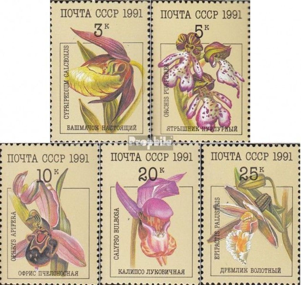 Briefmarken Sowjetunion 1991 Mi 6192-6196 (kompl.Ausg.) gestempelt Orchideen