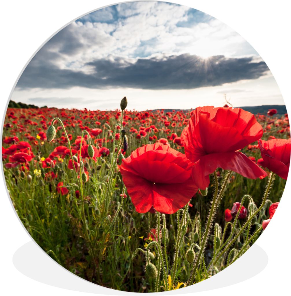 MuchoWow Rundes Wandbild - Runde Bilder Mohnblumen vor einem dramatischen, stürmischen Himmel Ø 30 cm Kreis Wanddekoration Kunststoff - Wandkre...