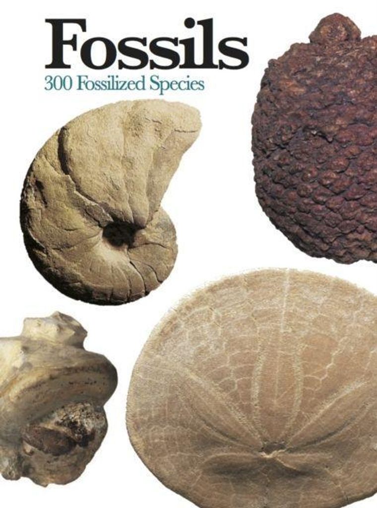 Fossils – Lingua: Inglese