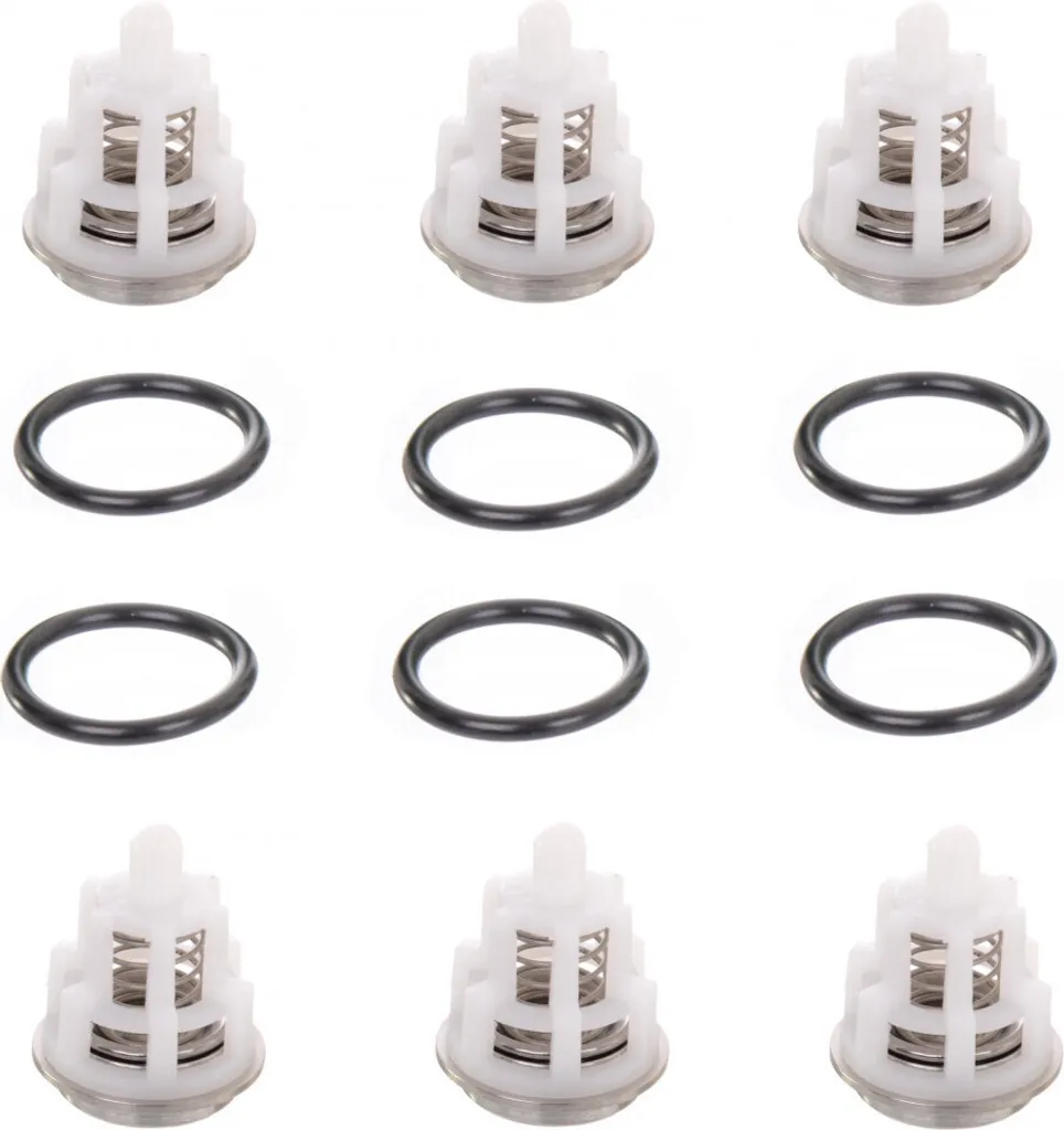 Ricambio Kit 123 Valvole Interpump W-WW 6 Pezzi Originale