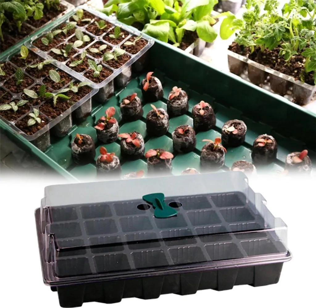 Bac de semis 24 cellules avec couvercle transparent pour germination - 7