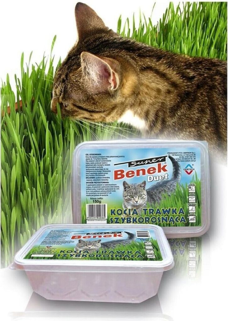 A cat is eating grass next to two containers of cat grass.
