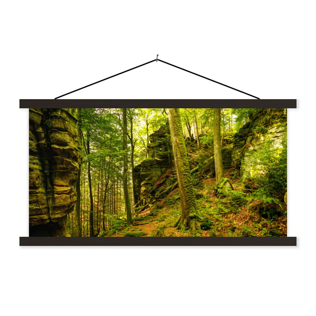 MuchoWow Textilposter Bäume - Stein - Wald - Natur - Pflanzen 150x75 cm mit schwarzem Rahmen - Posterleiste