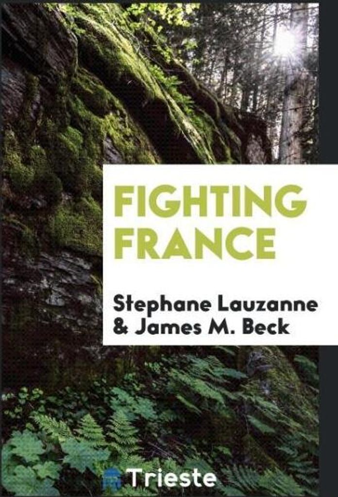Fighting France