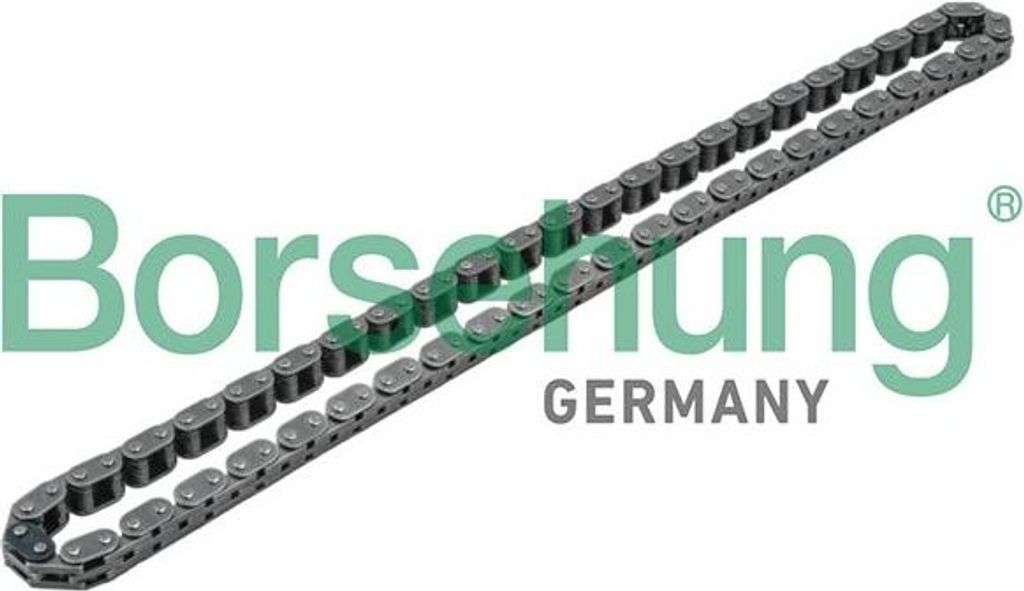 Borsehung Steuerkette B1C001 für VW POLO (9N)