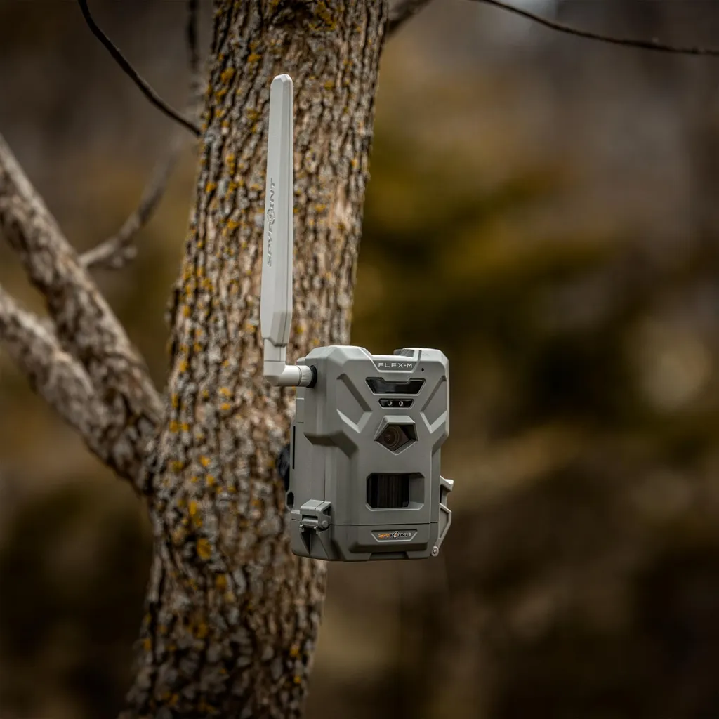 Doublez votre surveillance avec le Spypoint FLEX-M Twin Pack cellulaire
