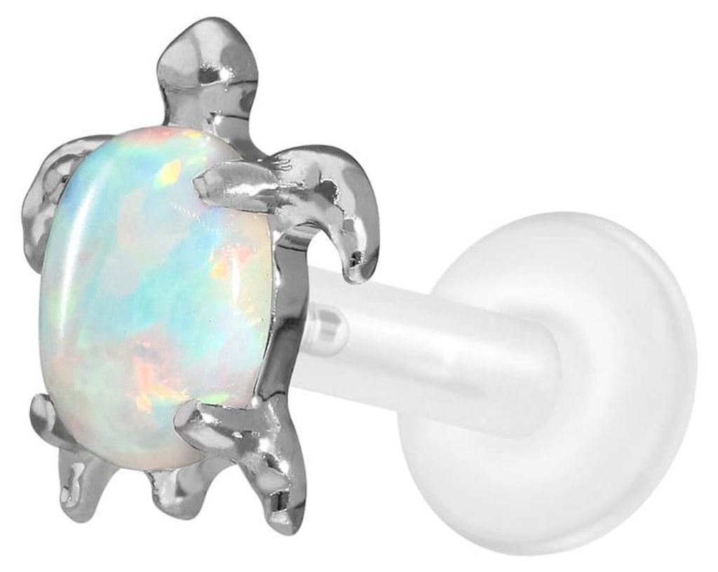 Ohrpiercing, Nasenpiercing PTFE Labret mit Innengewinde + Titan-Aufsatz SCHILDKRÖTE Silber Stablänge: 8mm | Stabstärke: 1,6mm