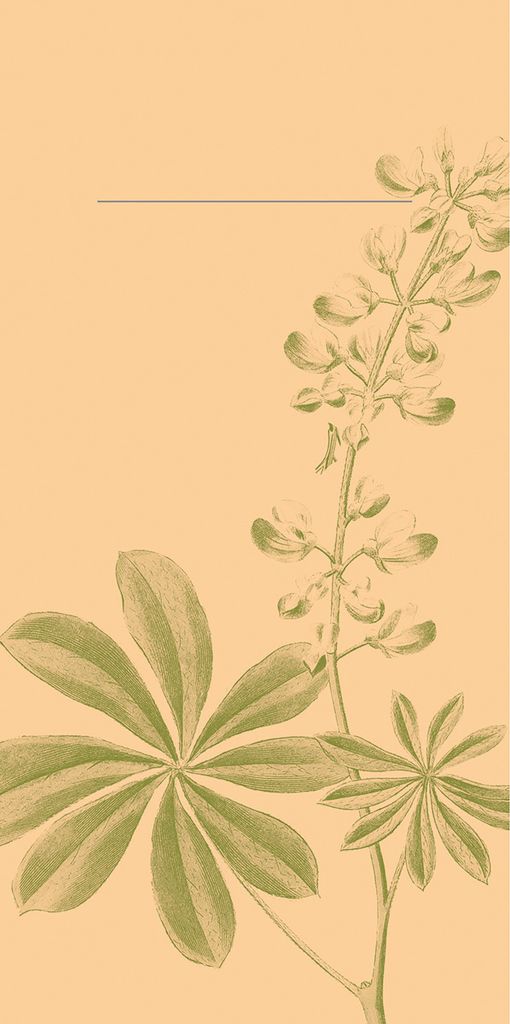 Airlaid Besteckservietten Opus Flora, 40 x 40 cm, 75 Stück - Mank