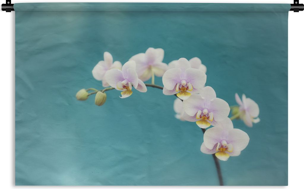 MuchoWow Wandteppich Wandbehang Weiße Orchideen auf blauem Hintergrund 60x40 cm Tapisserie Dekoration Wandtuch - Wanddekorationen
