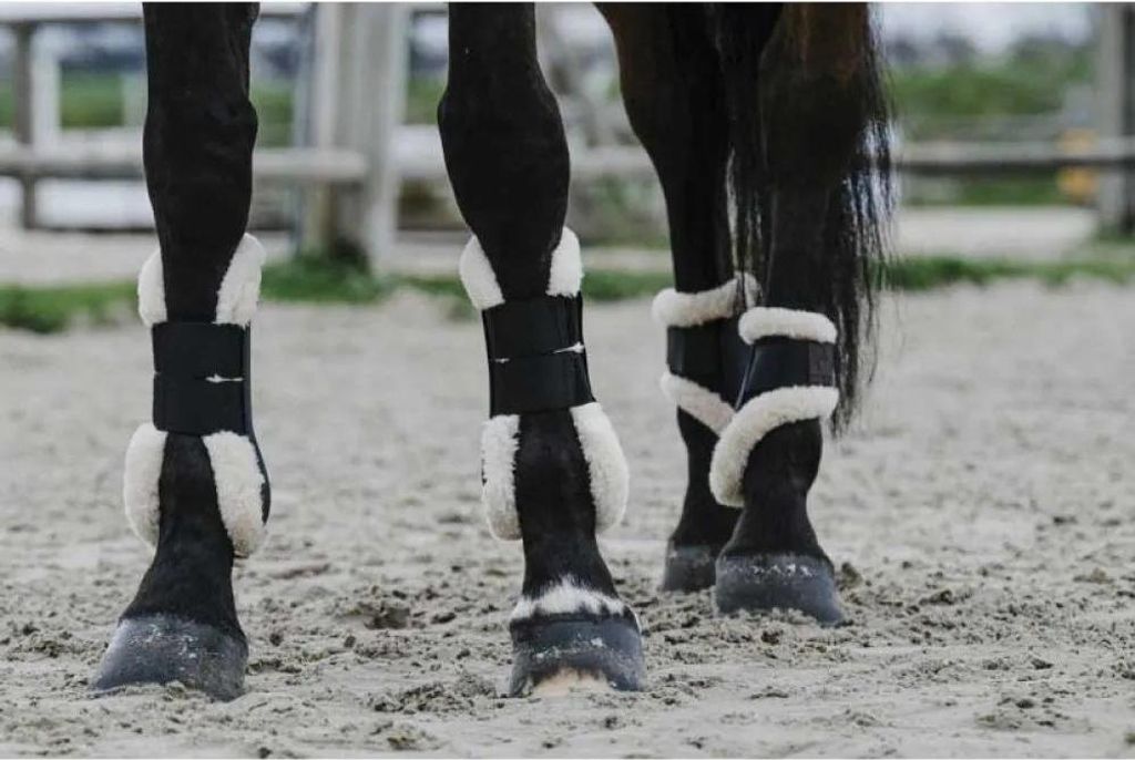 Equitheme Boa Sehnenstiefel Schwarz Full Schwarz Full