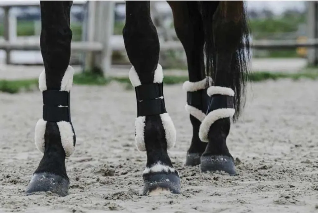Guêtres de tendon de protection pour cheval CSO Equithme Boa Noir