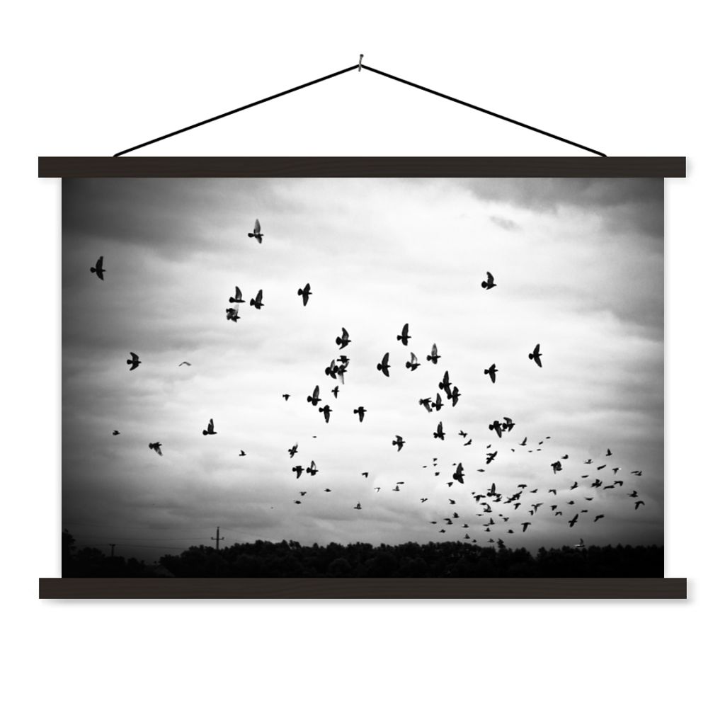 MuchoWow Textilposter Tiere - Vögel - Wolken - Schwarz - Weiß 60x40 cm mit schwarzem Rahmen - Hölzernes