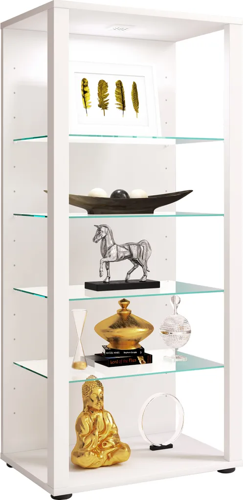 Vitrine d'exposition pour figurines et objets d'art Glasol III 115cm