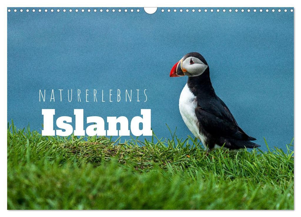 Naturerlebnis Island (Wandkalender 2027 DIN A3 quer), CALVENDO Monatskalender