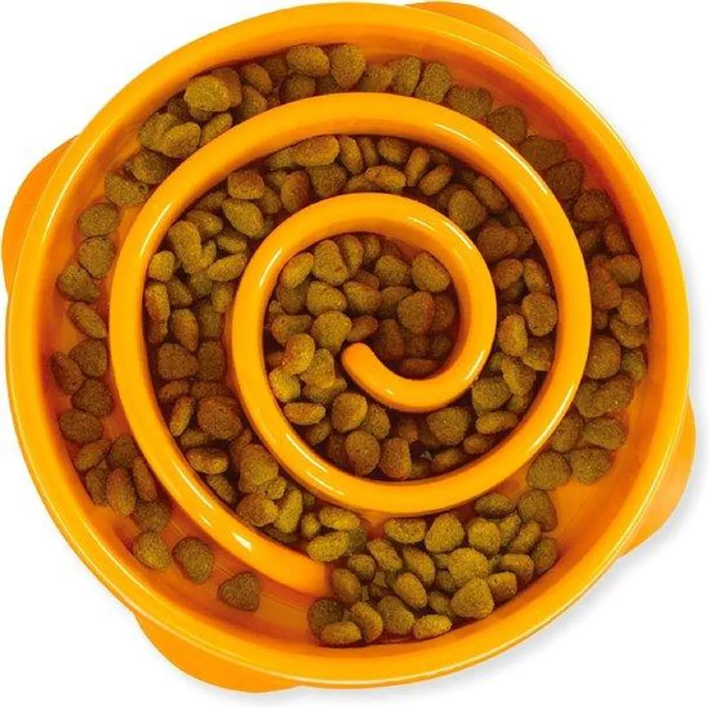 Plateau Repas Chien Fun Feeder Orange avec Arceau Chocolat Antidérapant