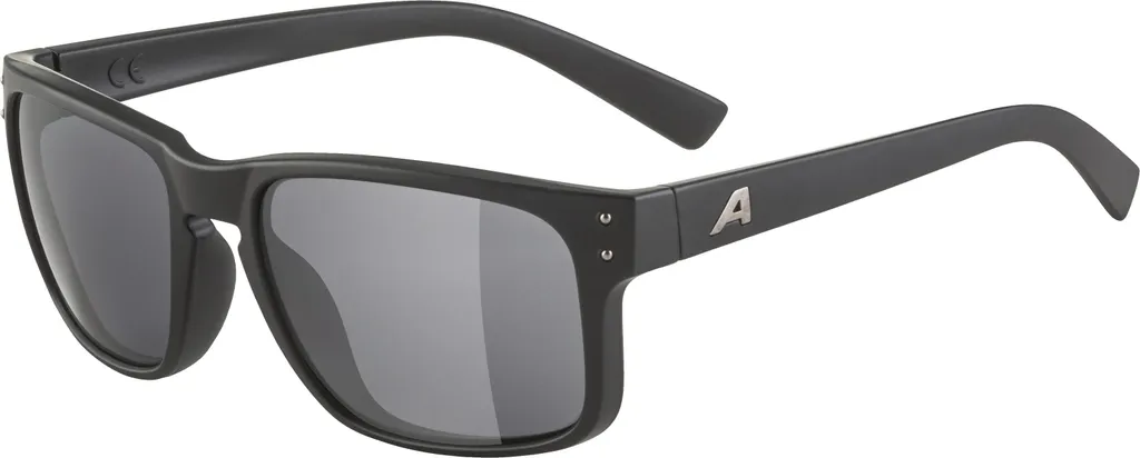 Lunettes de soleil de sport Alpina KOSMIC gris - Confort taille unique