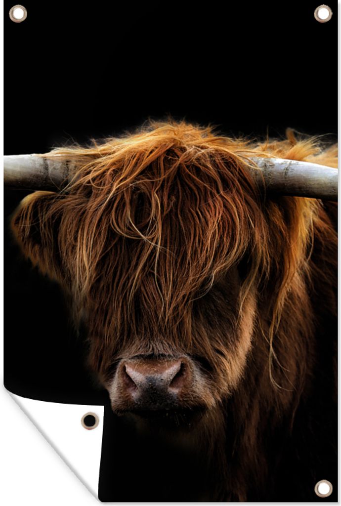 MuchoWow 80x120 cm Outdoor-Poster Gartendeko Sichtschutz Garten Poster für den Garten Schottischer Highlander - Hörner - Schwarz - Tiere - Nat...