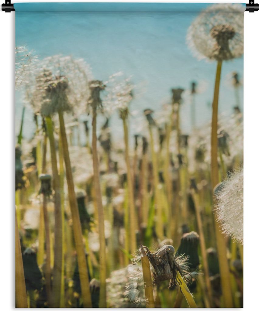 MuchoWow Wandteppich Wandbehang Blumen - Löwenzahn - Gras 150x200 cm Tapisserie Dekoration Wandtuch - Wandaufhängung - Moderner