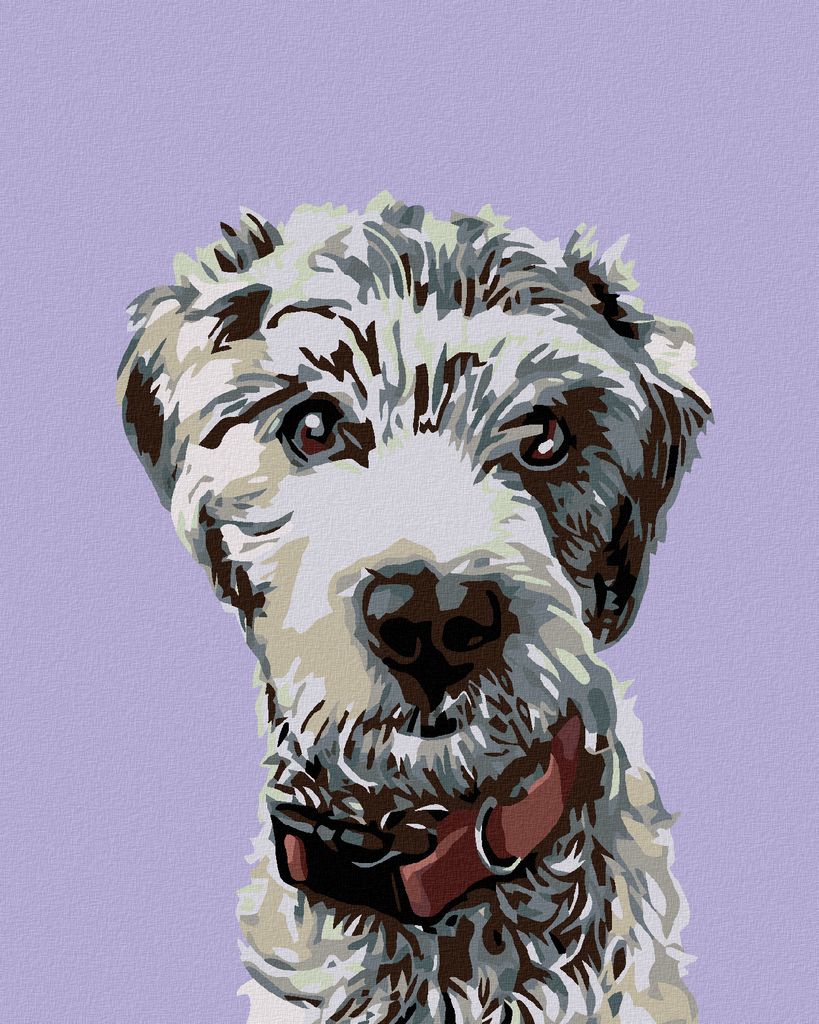 Diamondi - Diamond painting - HAARIGER HUND MIT ROTEM HALSBAND, 40X50 cm, ohne Keilrahmen