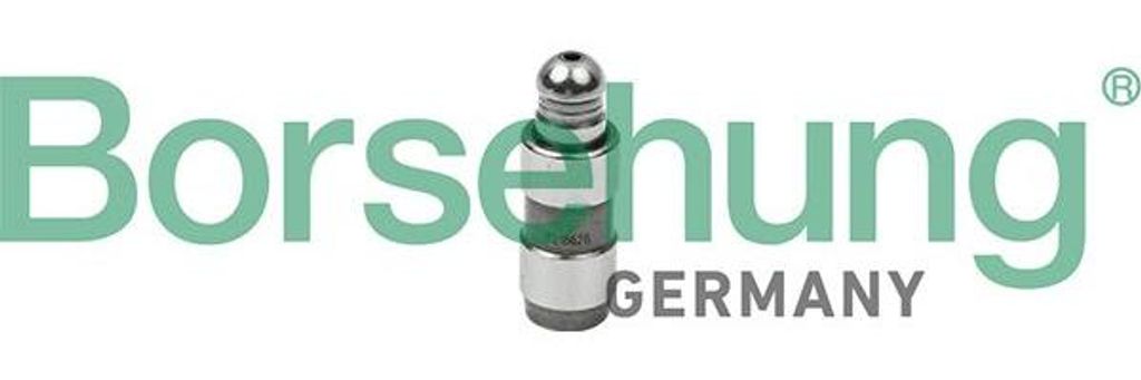 Borsehung B18828 Ventilstößel OE 030109423 kompatibel mit Touran, Tiguan, Sharan, Scirocco, Polo 6V, Polo 6R, Polo 9N, Polo 6N, Passat CC, Passat...