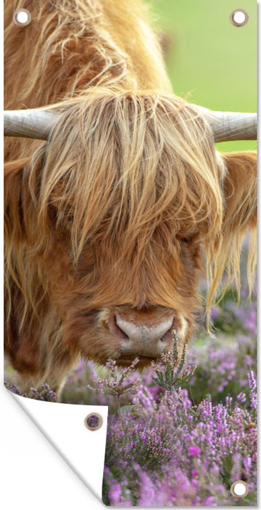 MuchoWow 30x60 cm Outdoor-Poster Gartendeko Sichtschutz Garten Poster für den Garten Schottische Highlander - Blumen - Natur