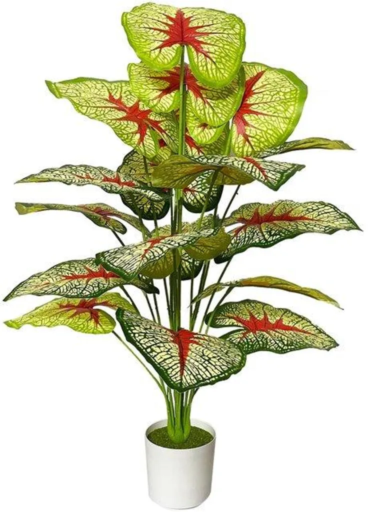 Palmier Rouge Artificiel 70 cm Réaliste - Feuillage Dense et Coloré