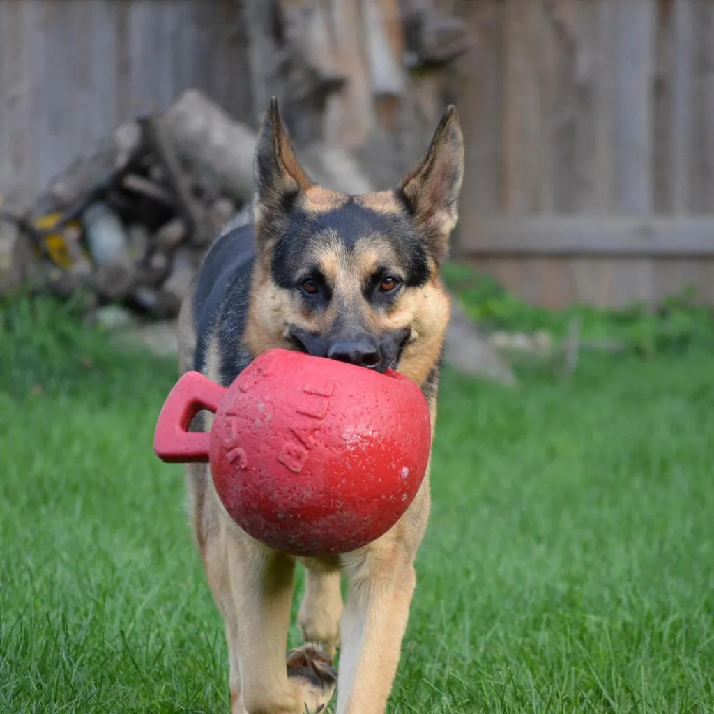Gioco Acqua Cani Jolly Tug-n-Toss 15 cm - Galleggiante e Resistente - 7