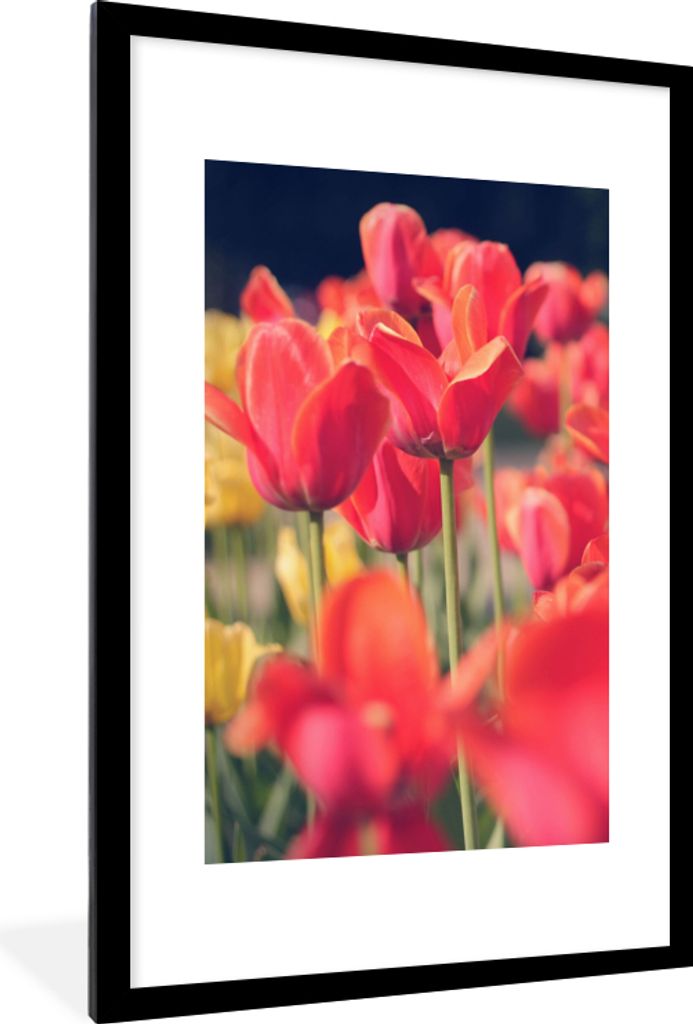 MuchoWow Gerahmtes Poster Tulpen - Blumen - Natur 60x90 cm - Poster mit Schwarzem Bilderrahmen Wandposter Rahmen Foto Bilder - Dekoration - Wandp...