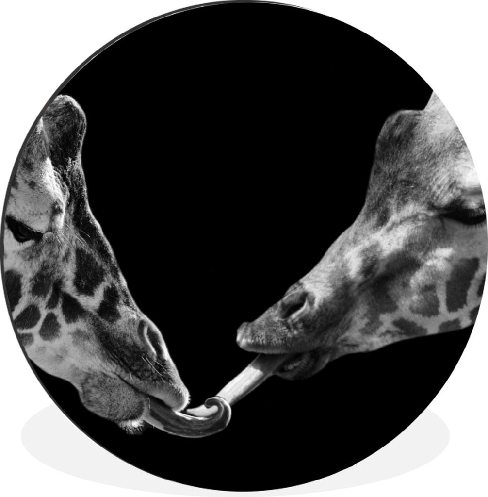 MuchoWow Aluminium Wandkreis Tiere - Schwarz - Giraffe - Weiß - Porträt Ø 90 cm Wanddeko Modern Wohnzimmer - Mauerkreis - Wandbilder - Runde B...