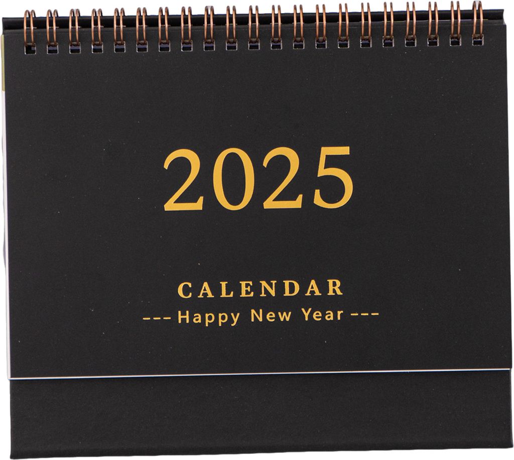 Mini-Tischkalender 2025, Tagesplaner, Klappkalender, To-Do-Liste, Notizblock, Zeitmanagement, Zeitplan-Organizer für Büro, Zuhause, Schule, Schwarz