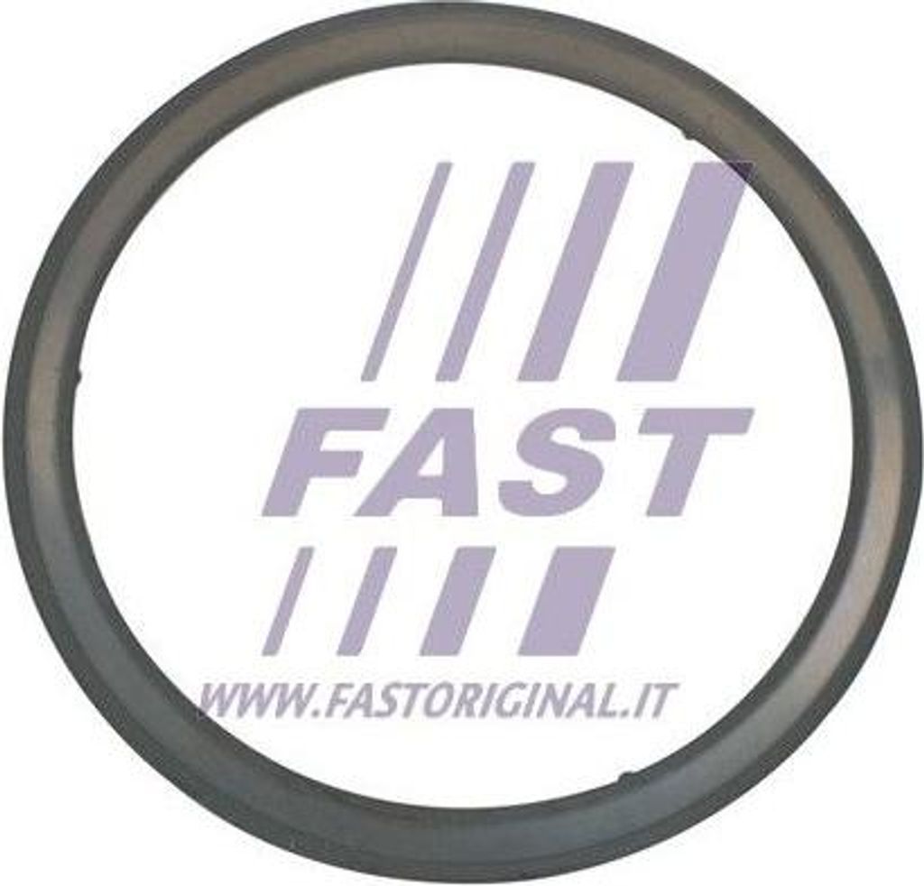 FAST FT84595 Dichtung, Abgasrohr OE 1607440680 kompatibel mit Boxer, Combo, Renegade, Compass, Cherokee, Daily, Tipo, Doblo, 500X, 500L, Jumper, Gi...