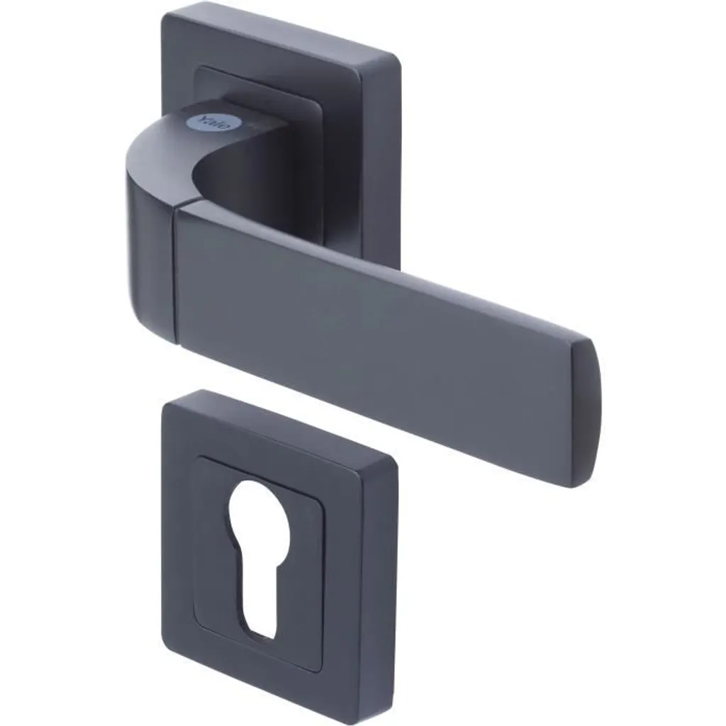 Poignée de porte robuste noire Yale Bologne contre l'usure du temps