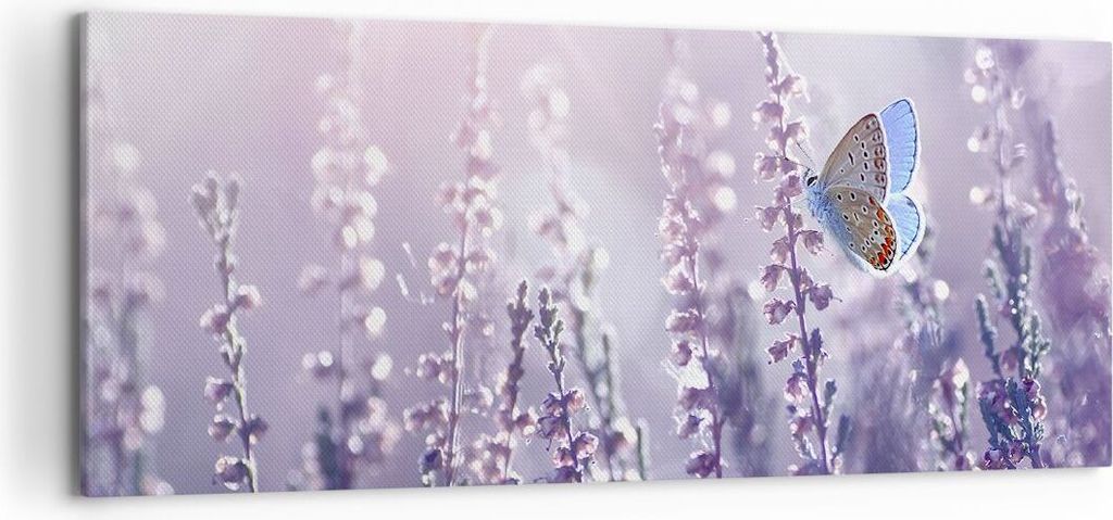 Bild auf Leinwand - Leinwandbild - Schmetterling Wiese Blume - 120x50cm - Wand Bild - Wanddeko - Leinwanddruck - Bilder - Kunstdruck - Wanddekorati...