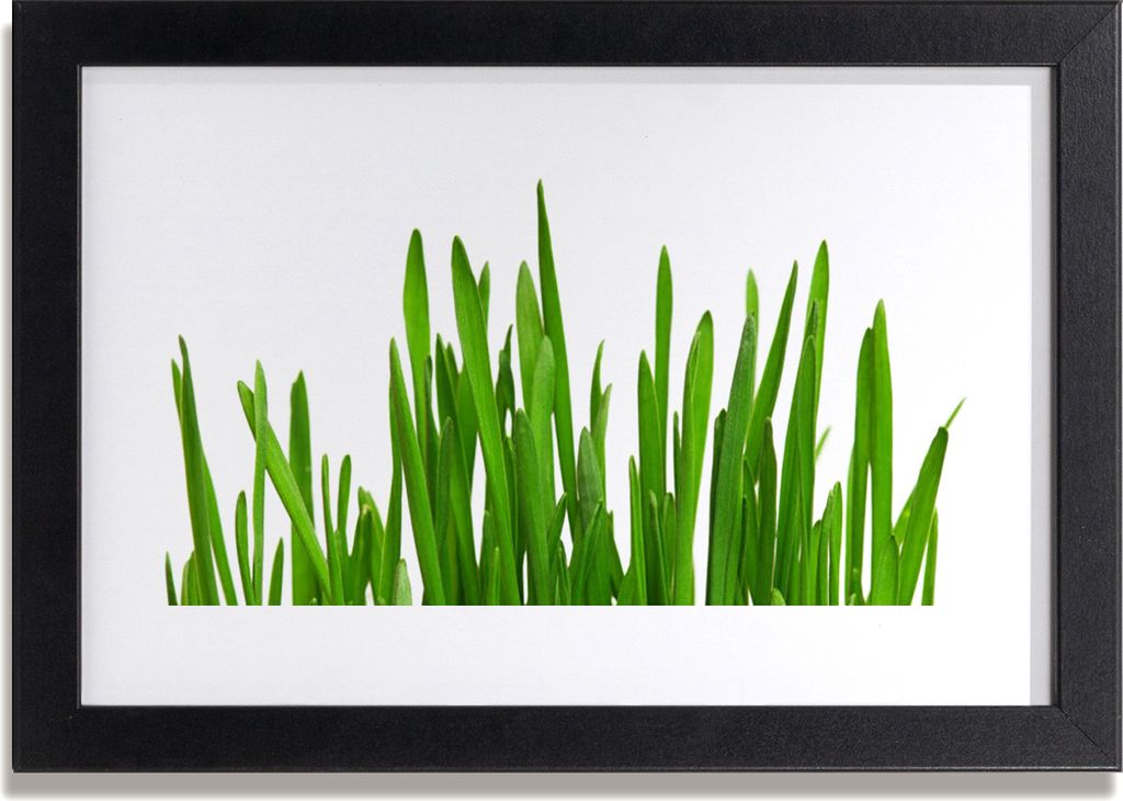 Bild 30x20 MDF-Rahmen Wandkunst Grass On Wall