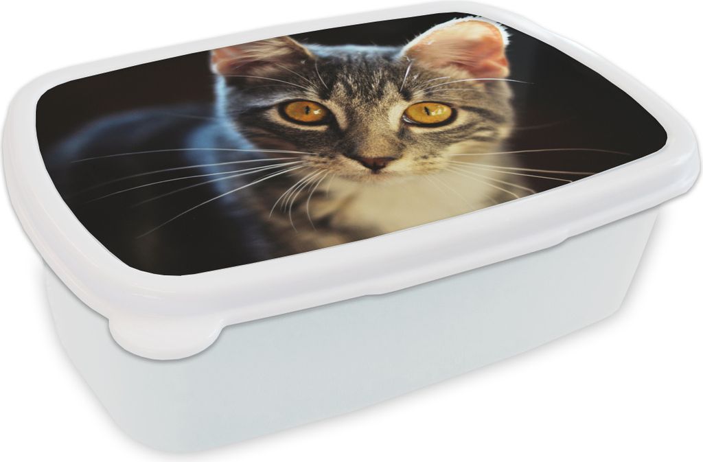 KitchenYeah Lunchbox Brotzeit Brotdose 17x11 cm Katzen - Tiere - Augen - Grau Kinder Brotzeitdose - Lunch Box - Kinder - Sandwich-Box - Schulbox ...