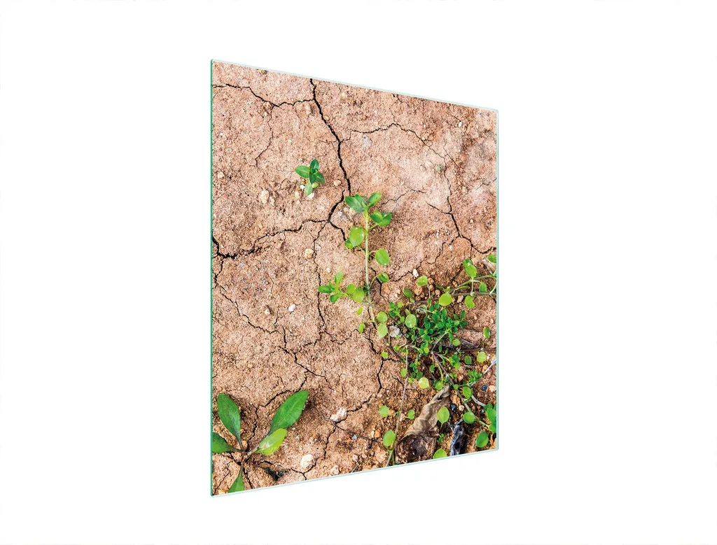 Piastra Protettiva Vetro 45x52 Piante | Design Botanico Moderno