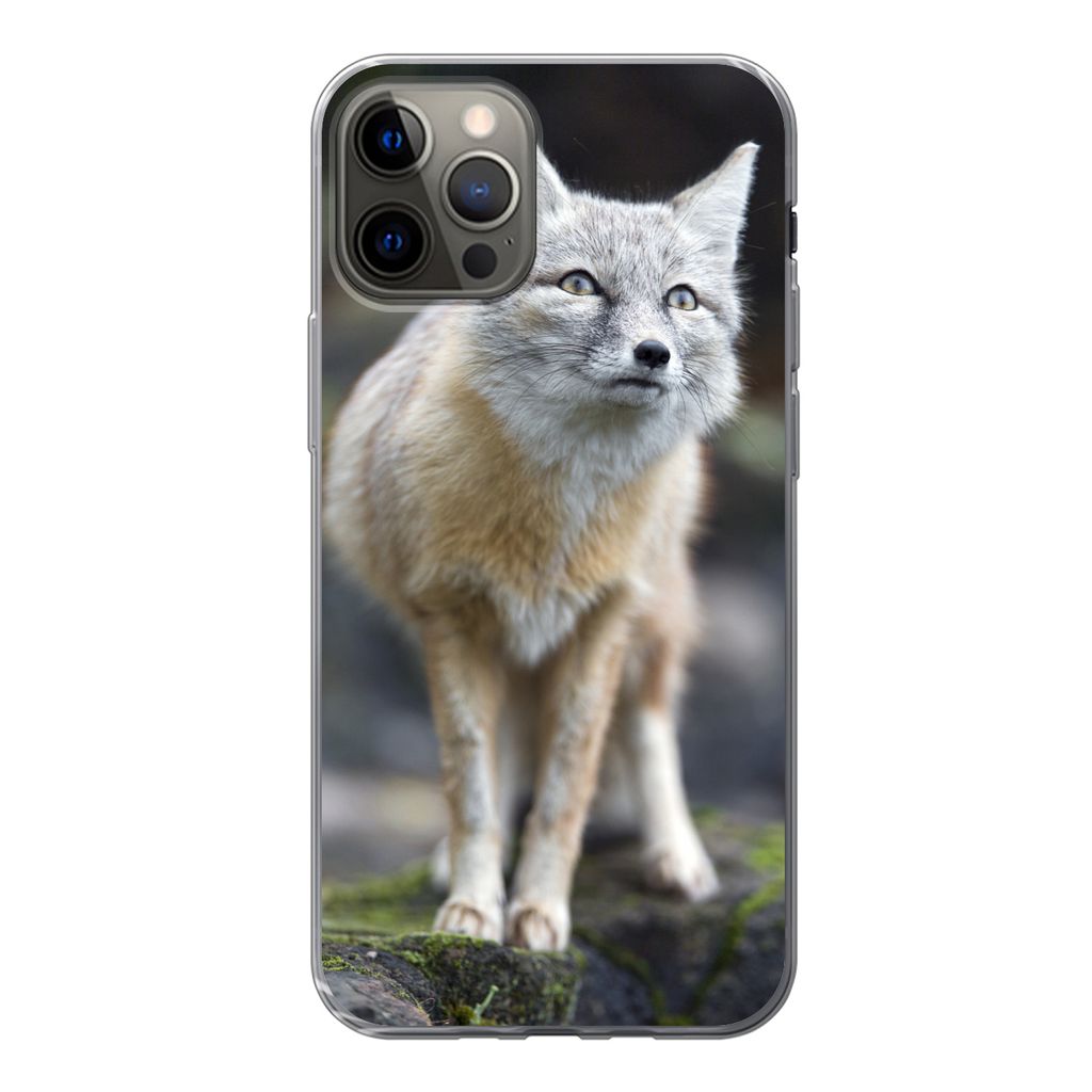 MuchoWow Handyhülle Schutzhülle Hülle für iPhone 13 Pro Fuchs - Makro - Baum Silikon Softcase Handy Hülle - Handy-Tasche