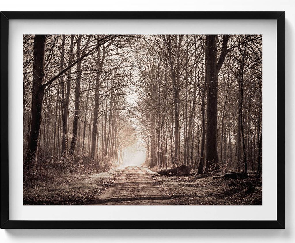 Waldweg in Sepia-Farben– Wandbild mit Rahmen – Gerahmtes Bild – Wanddekoration – 80x60 cm – Schwarz Rahmen