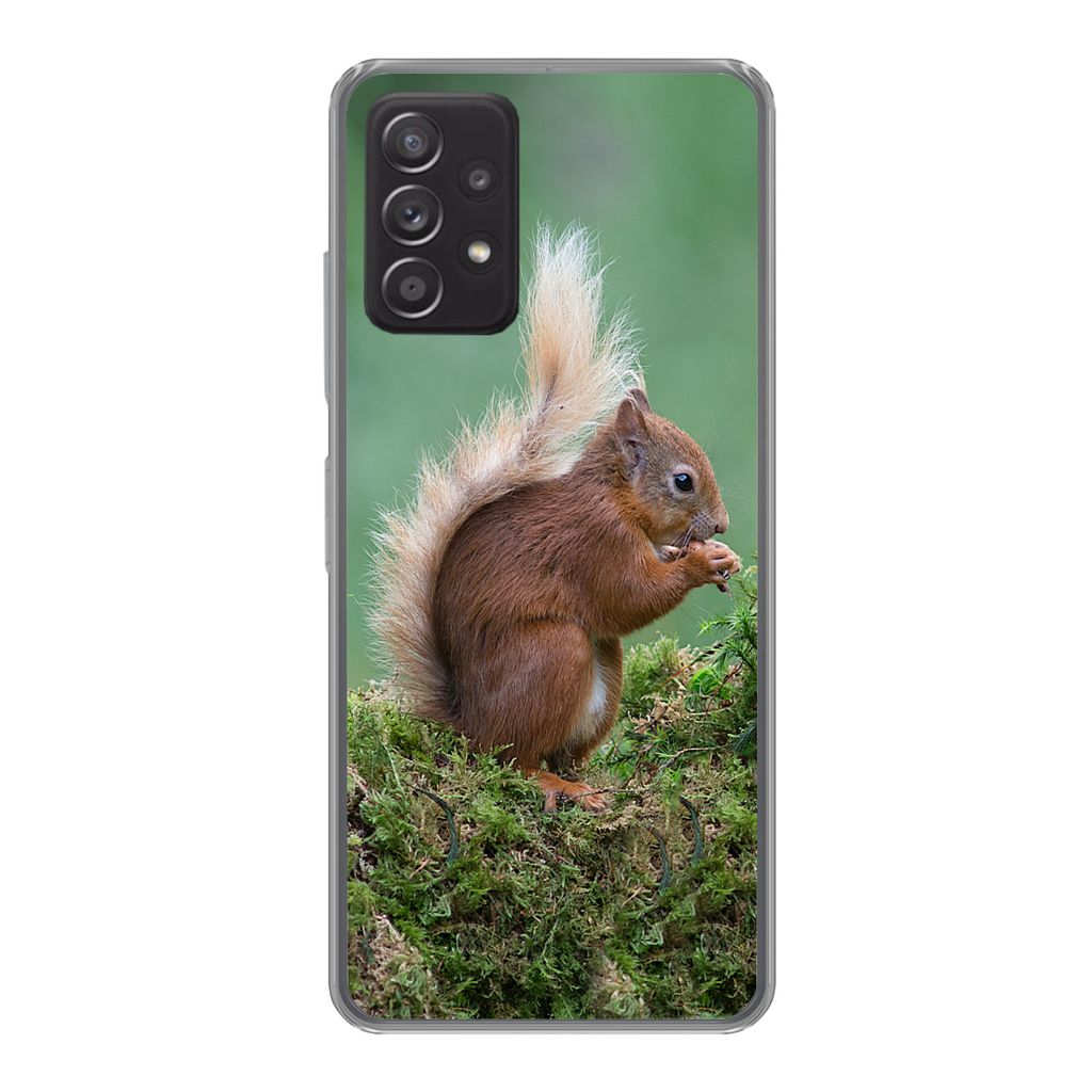 MuchoWow Handyhülle Schutzhülle Hülle für Samsung galaxy a73 Waldtier - Eichhörnchen - Moos Silikon Softcase Handy Hülle - Handyhülle
