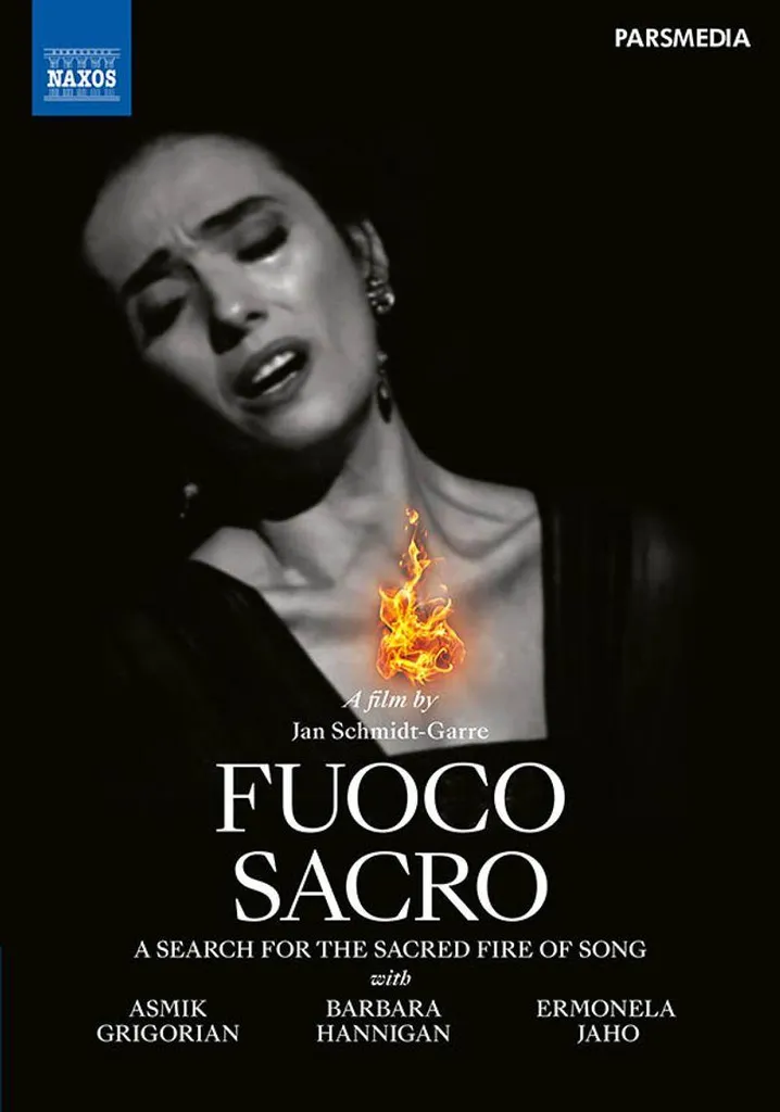 Feu sacré Une recherche - DVD Documentaire Schmidt-Garre Jaho Grigorian