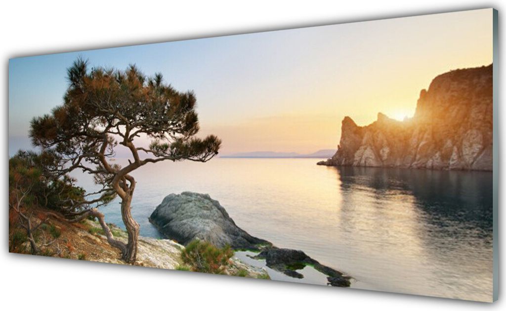 Acrylglasbilder 125x50 Wandbild Druck See Baum Landschaft