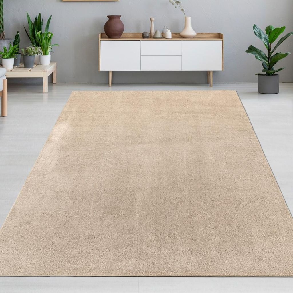 Moderner Teppich beige strapazierfähig und weich mit elegantem Schimmer Größe - 240 x 340 cm