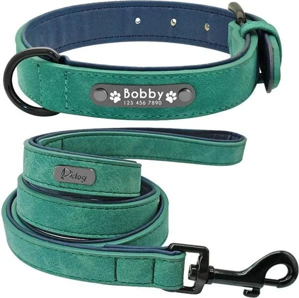 Set harnais et laisse chien personnalisé gravé vert rembourré 2XL