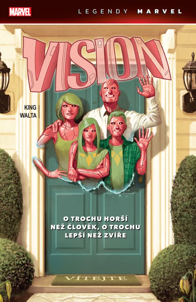 Livre Vision Marvel King Histoire Complète Reliée Collector