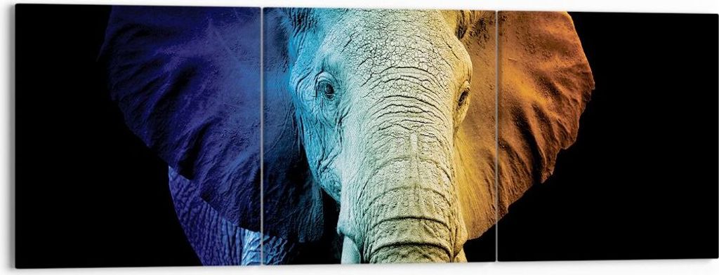 Bild auf Leinwand - Leinwandbild - 3 Teile - Bunt Elefant Fotografie - 150x50cm - Wand Bild - Wanddeko - Wandbilder - Leinwanddruck - Bilder - Wand...