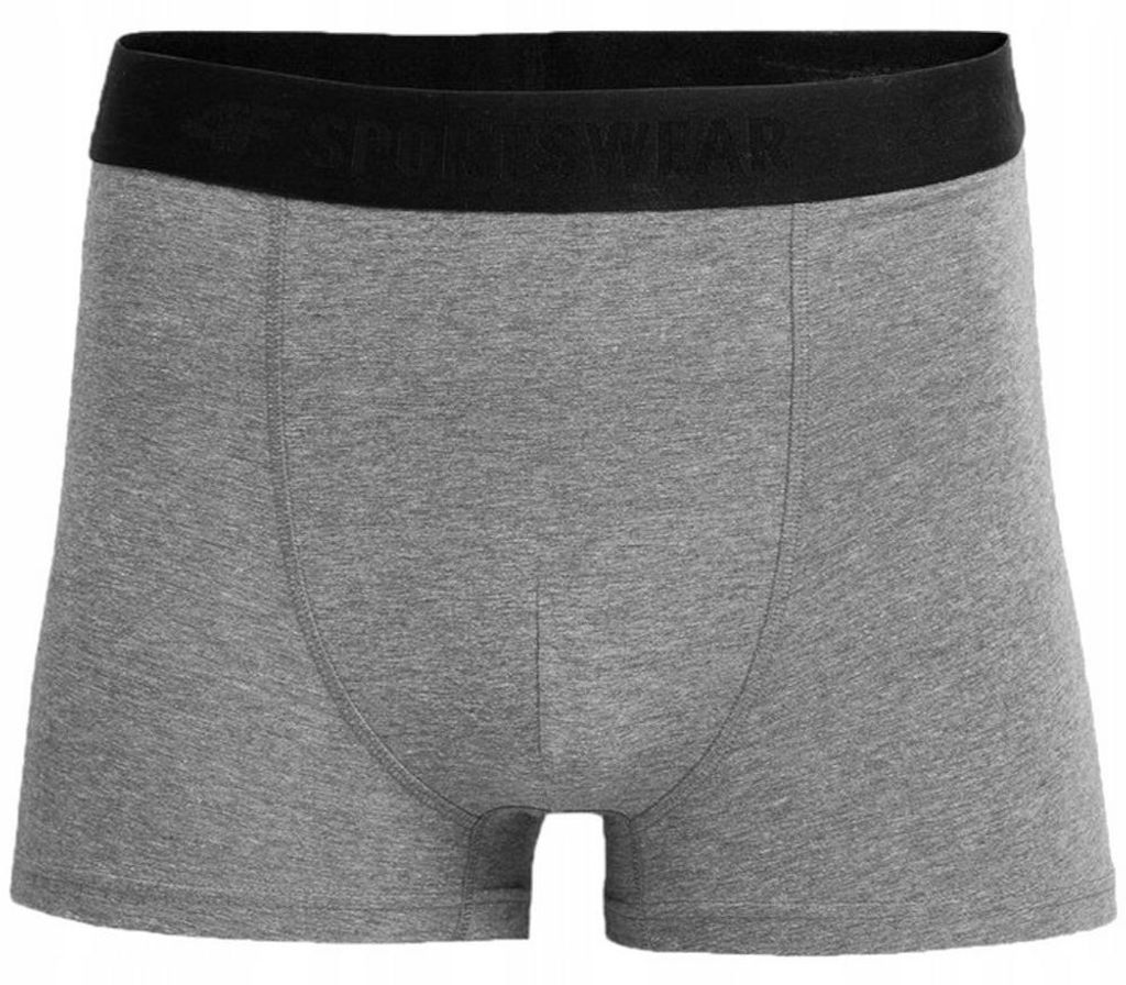 4F - Boxers pour hommes PP144 (S) (gris/argent) Image du produit 