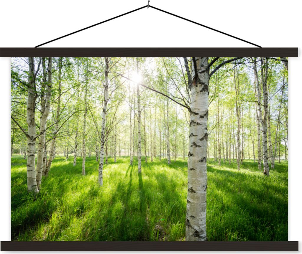 MuchoWow Textilposter Birke - Wald - Frühling 90x60 cm mit schwarzem Rahmen - Aufhängungssatz