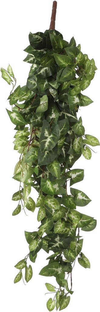 Mica Decorations Fittonia hängende Kunstpflanze - H80 cm - Produktbild 