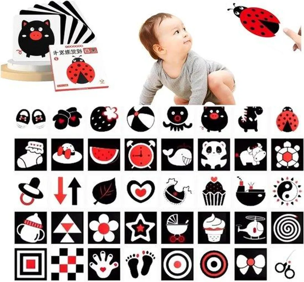 Développer la vue de bébé avec 36 cartes de stimulation haute définition