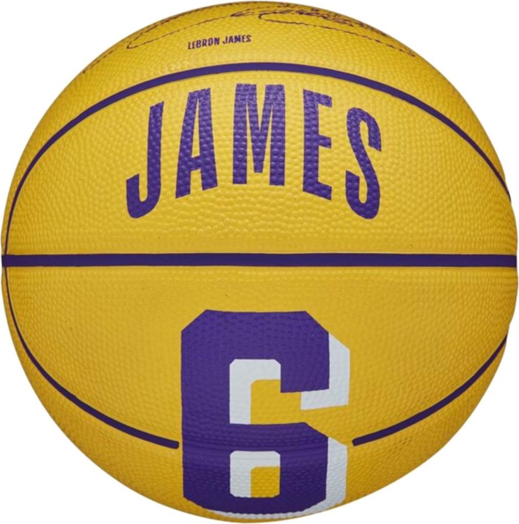 Wilson Bälle Nba Player Icon Lebron James Mini, WZ4007201XB